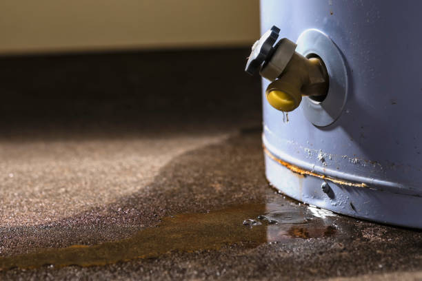 Best Carpet water damage restoration  in Shawsville, VA
