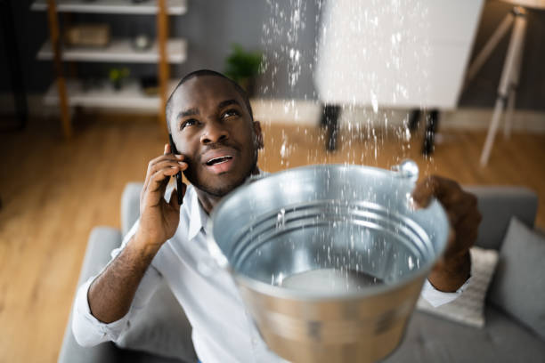 Best Sewage cleanup and water damage restoration  in Shawsville, VA