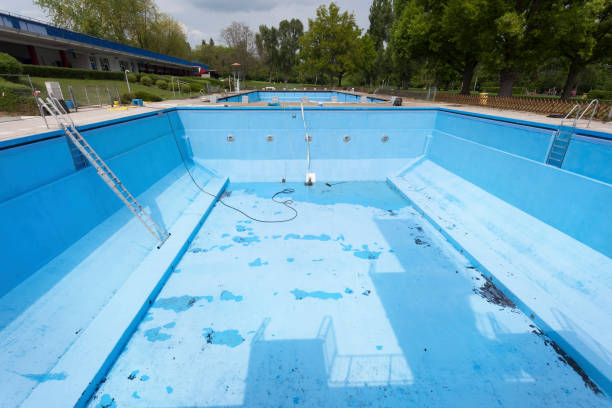 Best Flood damage cleanup  in Shawsville, VA