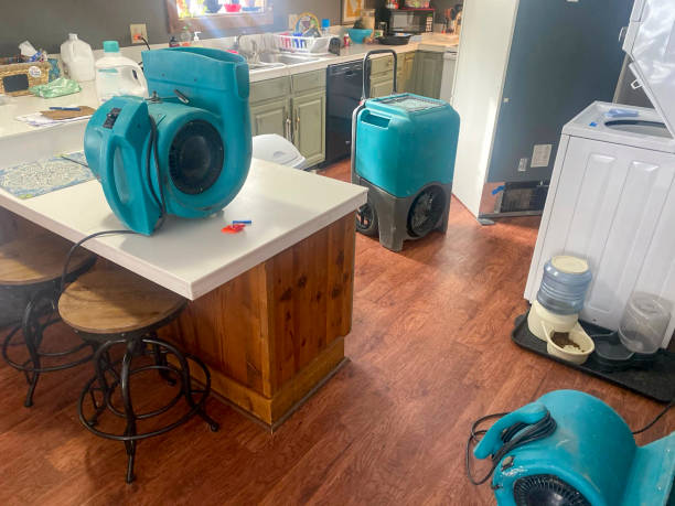Best Ceiling water damage repair  in Shawsville, VA