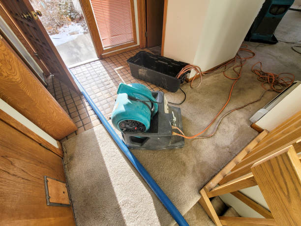 Best 24/7 water damage repair  in Shawsville, VA