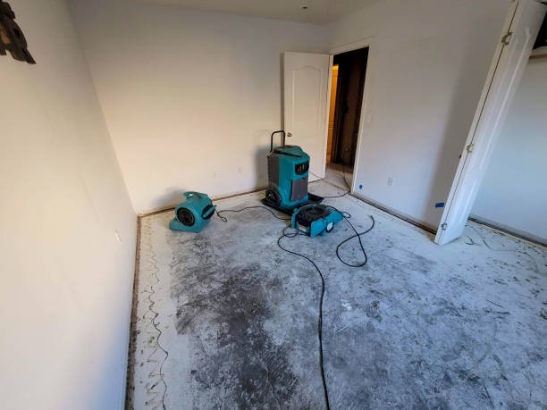 Best Fire Damage Restoration  in Shawsville, VA