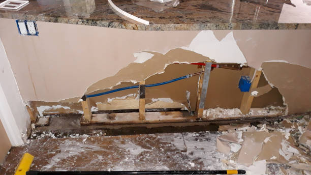 Best Professional water damage repair  in Shawsville, VA