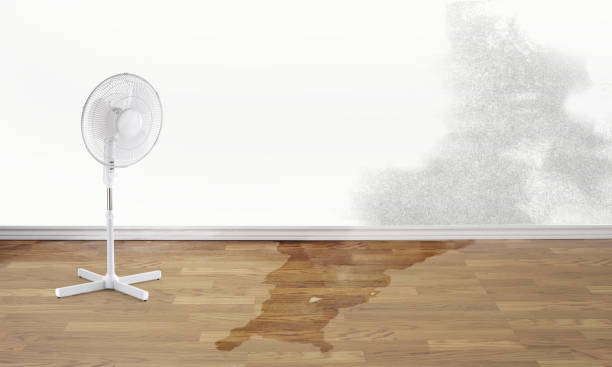 Best Flooded house restoration  in Shawsville, VA