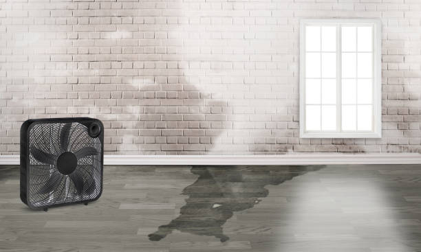 Best Fire Damage Restoration  in Shawsville, VA