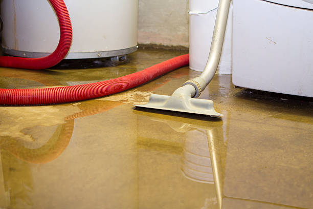 Best Water damage contractors near me  in Shawsville, VA