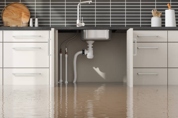 Best Commercial water damage restoration  in Shawsville, VA